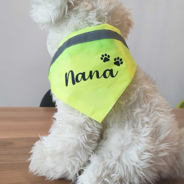 Collar bandana para mascota personalizado
