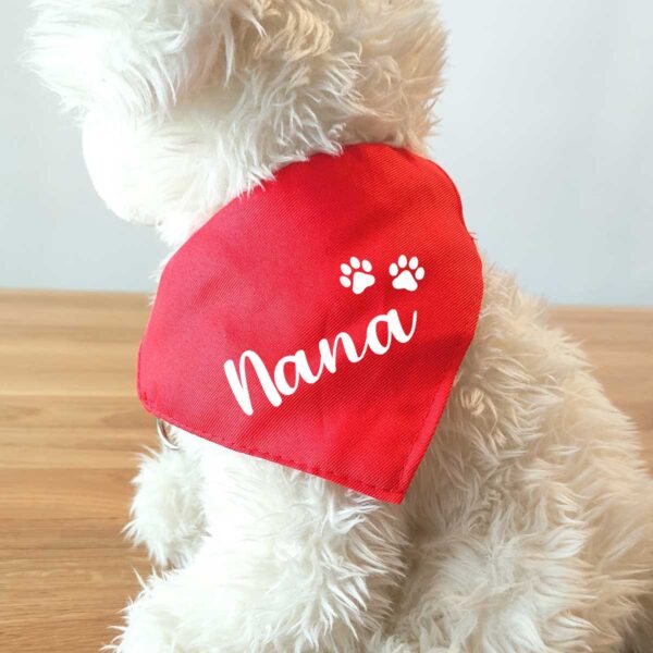 Collar bandana para mascota personalizado - Imagen 3