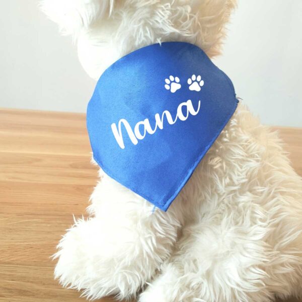 Collar bandana para mascota personalizado - Imagen 2